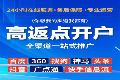 百度竞价赚钱技巧：案例分析